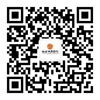 翔業(yè)城市綠化